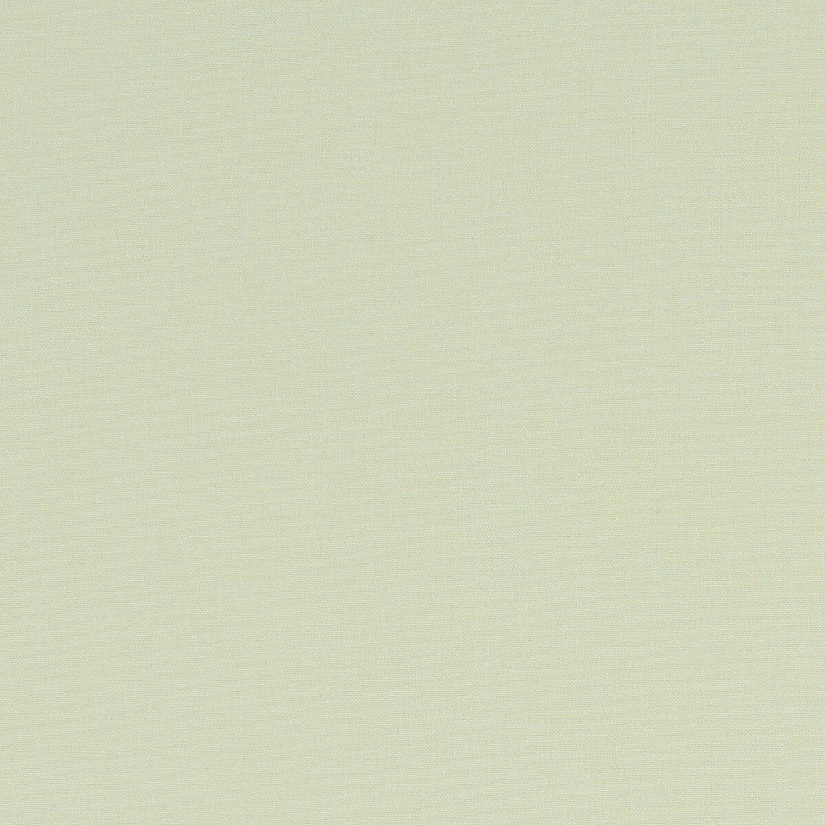 Alora fabric in celadon color - pattern F1097/05.CAC.0 - by Clarke And Clarke in the Alora By Studio G For C&C collection
