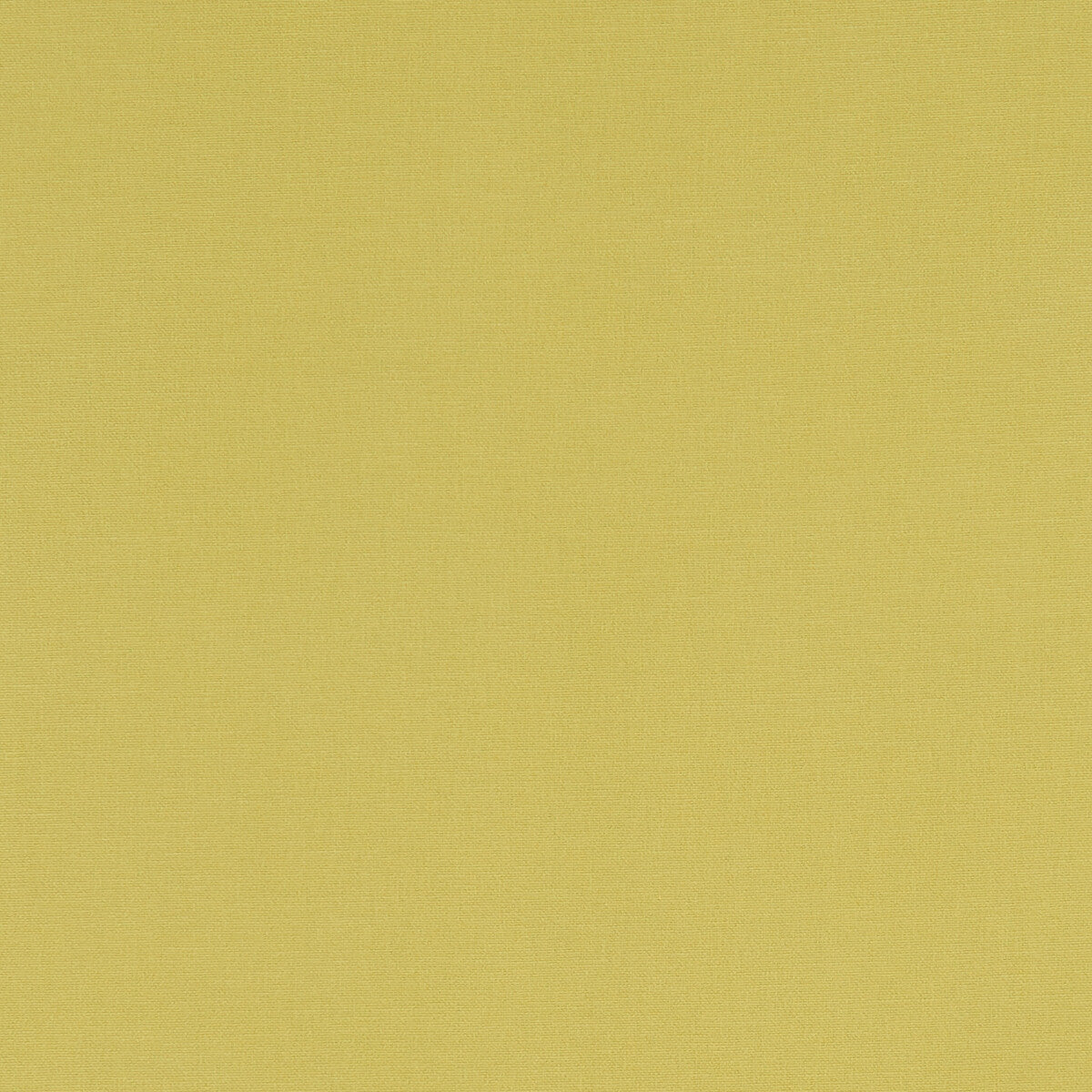 Alora fabric in celery color - pattern F1097/06.CAC.0 - by Clarke And Clarke in the Alora By Studio G For C&C collection