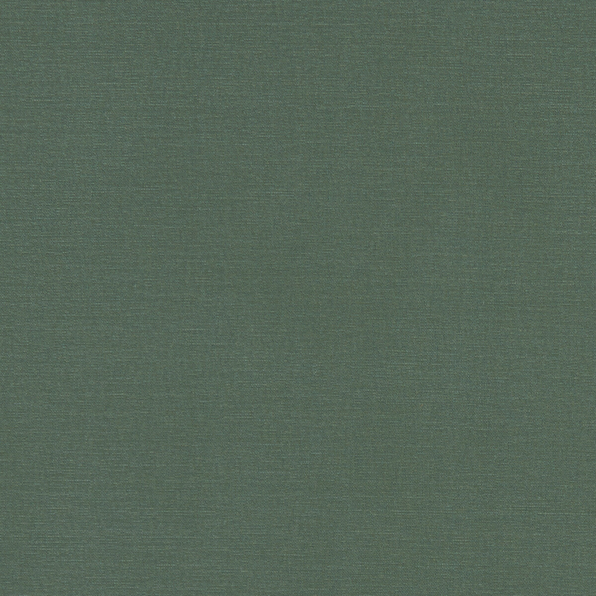 Alora fabric in forest color - pattern F1097/19.CAC.0 - by Clarke And Clarke in the Alora By Studio G For C&C collection