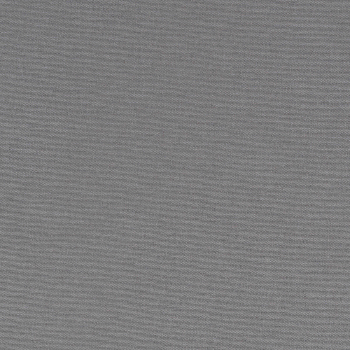 Alora fabric in grey color - pattern F1097/23.CAC.0 - by Clarke And Clarke in the Alora By Studio G For C&C collection