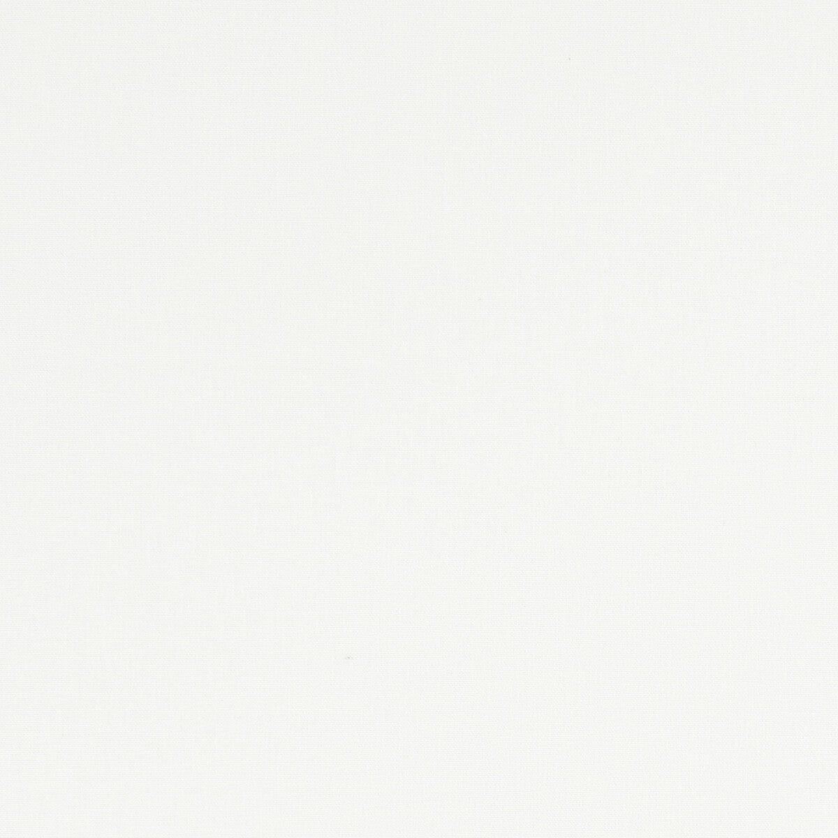 Alora fabric in ivory color - pattern F1097/29.CAC.0 - by Clarke And Clarke in the Alora By Studio G For C&C collection