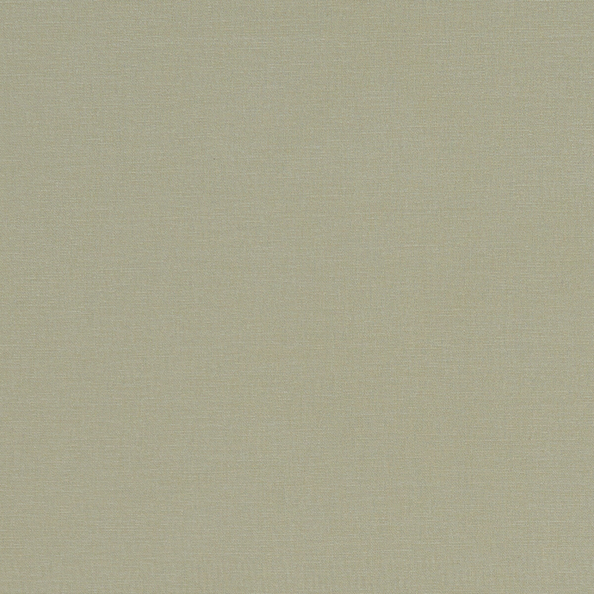 Alora fabric in khaki color - pattern F1097/30.CAC.0 - by Clarke And Clarke in the Alora By Studio G For C&C collection