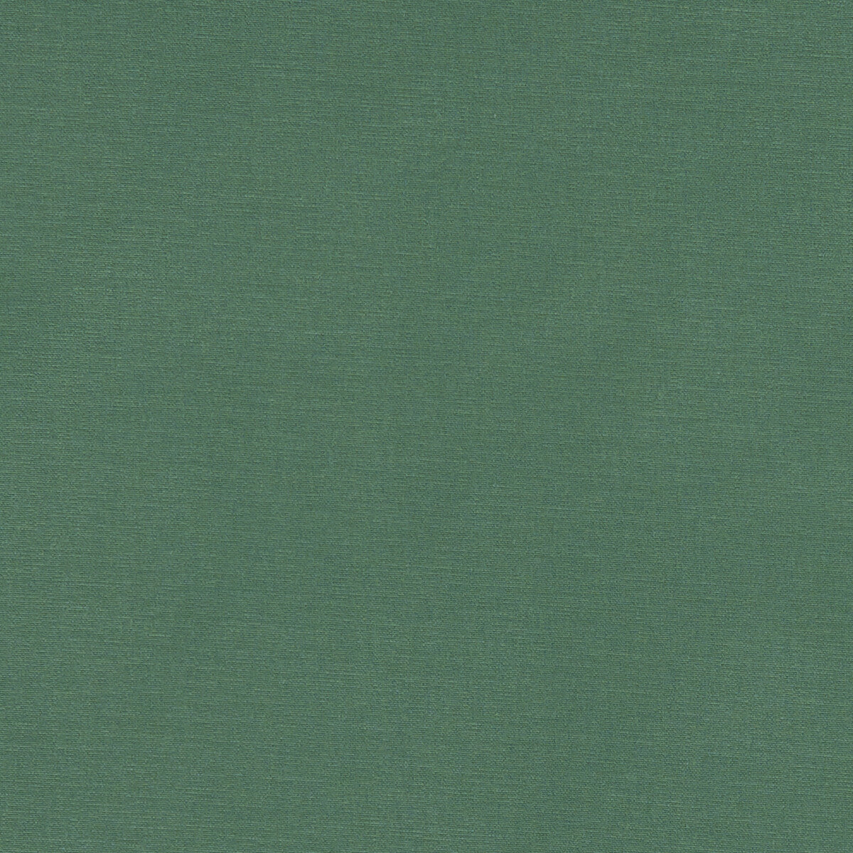 Alora fabric in leaf color - pattern F1097/31.CAC.0 - by Clarke And Clarke in the Alora By Studio G For C&C collection