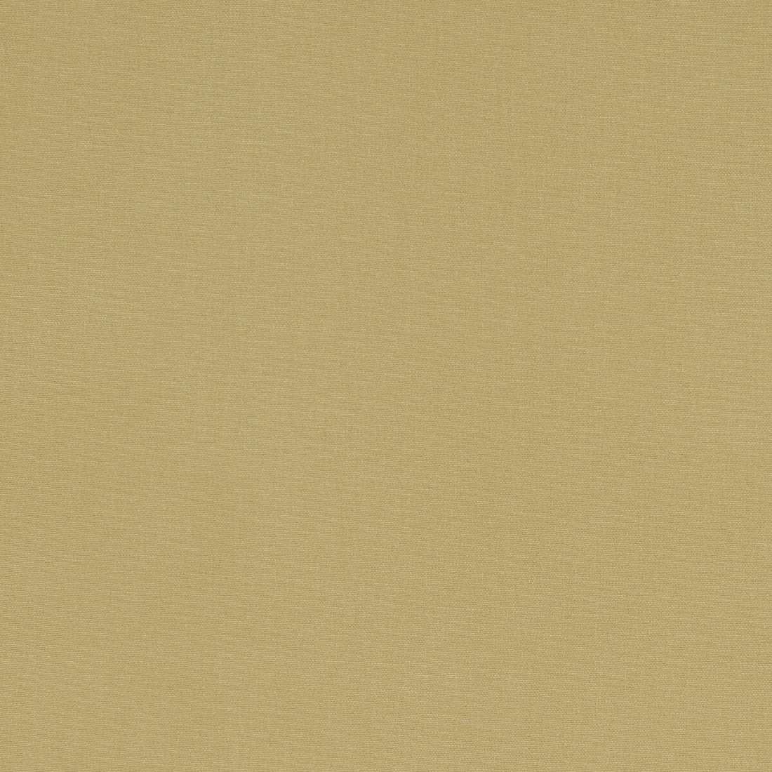 Alora fabric in malt color - pattern F1097/35.CAC.0 - by Clarke And Clarke in the Alora By Studio G For C&amp;C collection