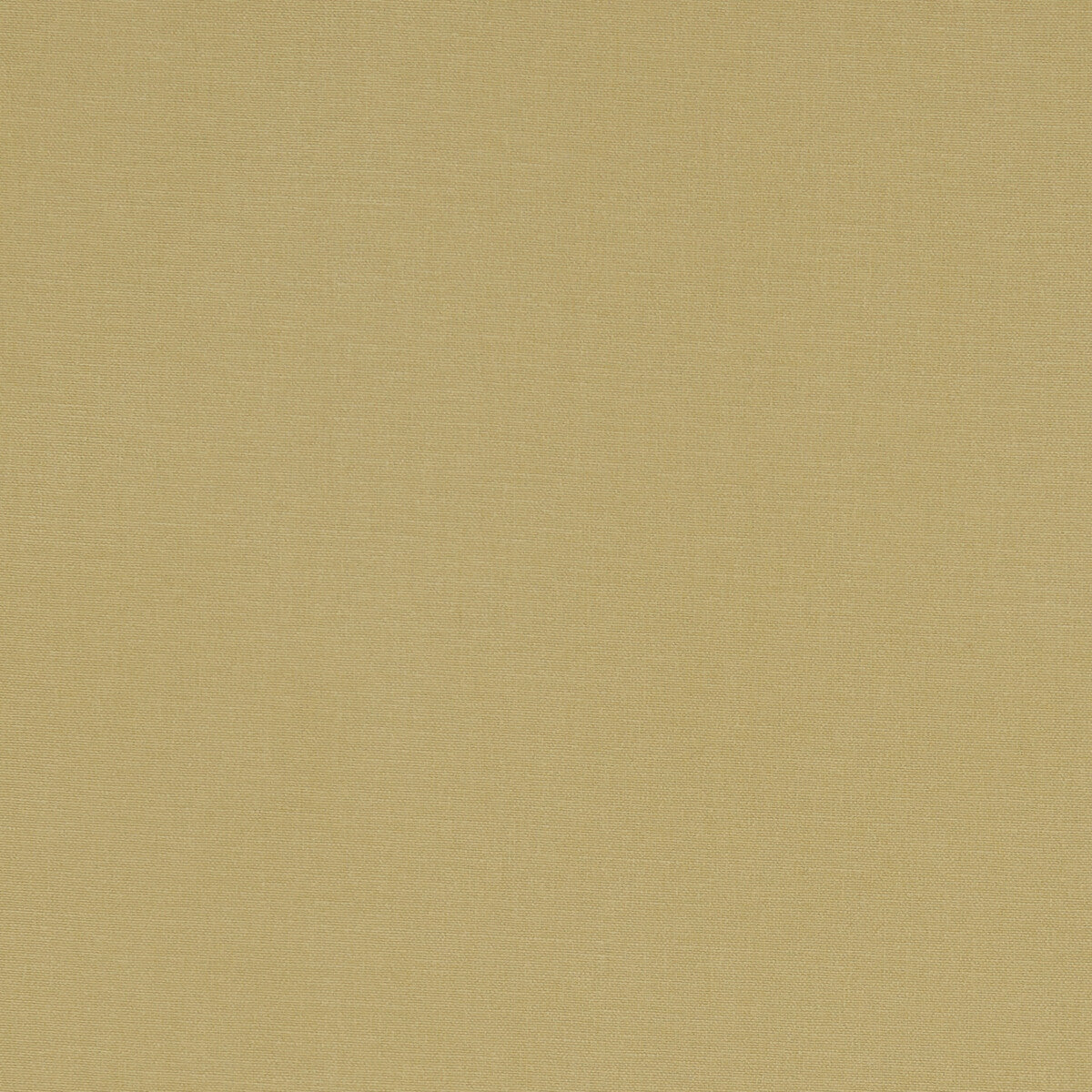 Alora fabric in malt color - pattern F1097/35.CAC.0 - by Clarke And Clarke in the Alora By Studio G For C&C collection