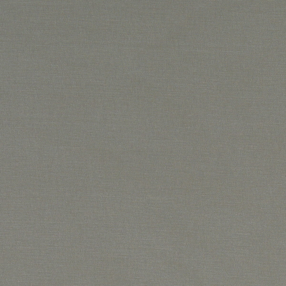 Alora fabric in mink color - pattern F1097/38.CAC.0 - by Clarke And Clarke in the Alora By Studio G For C&C collection