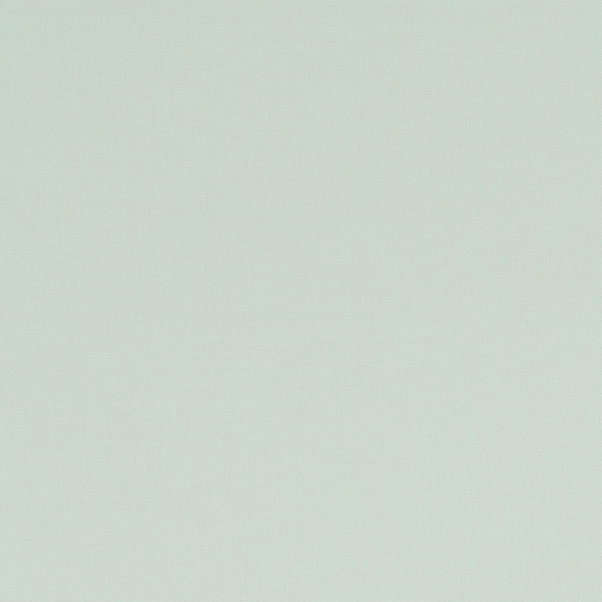 Alora fabric in mint color - pattern F1097/39.CAC.0 - by Clarke And Clarke in the Alora By Studio G For C&C collection
