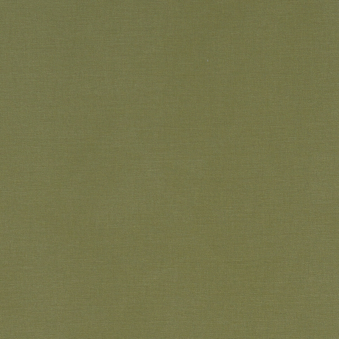 Alora fabric in moss color - pattern F1097/41.CAC.0 - by Clarke And Clarke in the Alora By Studio G For C&amp;C collection