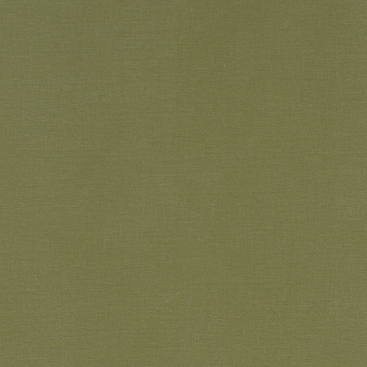 Alora fabric in moss color - pattern F1097/41.CAC.0 - by Clarke And Clarke in the Alora By Studio G For C&C collection