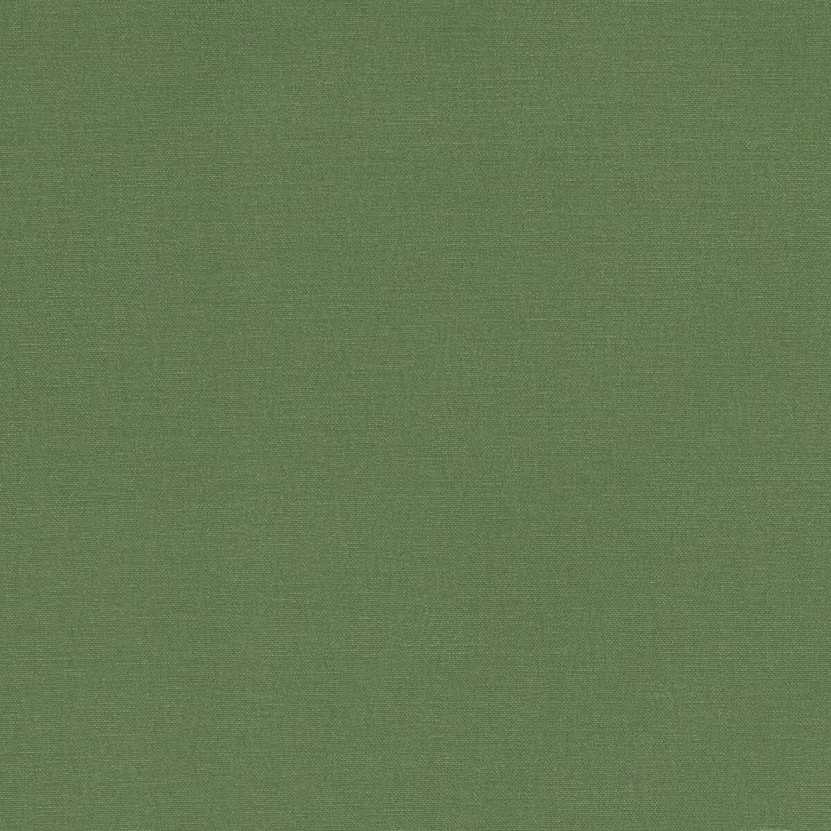 Alora fabric in palm color - pattern F1097/43.CAC.0 - by Clarke And Clarke in the Alora By Studio G For C&C collection