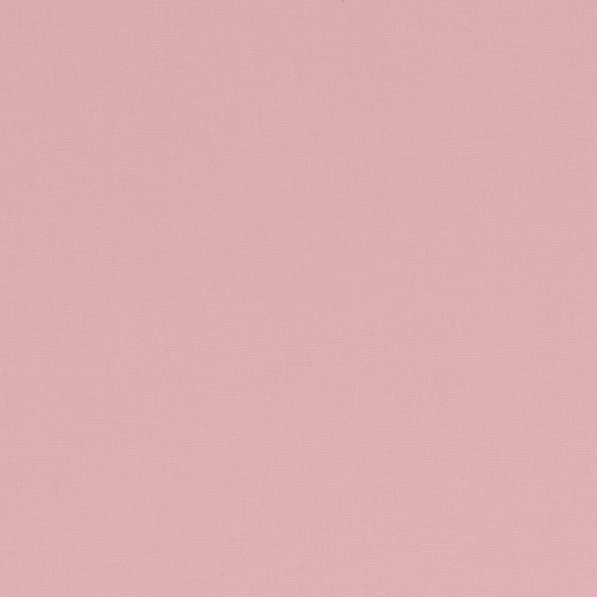 Alora fabric in pink color - pattern F1097/50.CAC.0 - by Clarke And Clarke in the Alora By Studio G For C&C collection