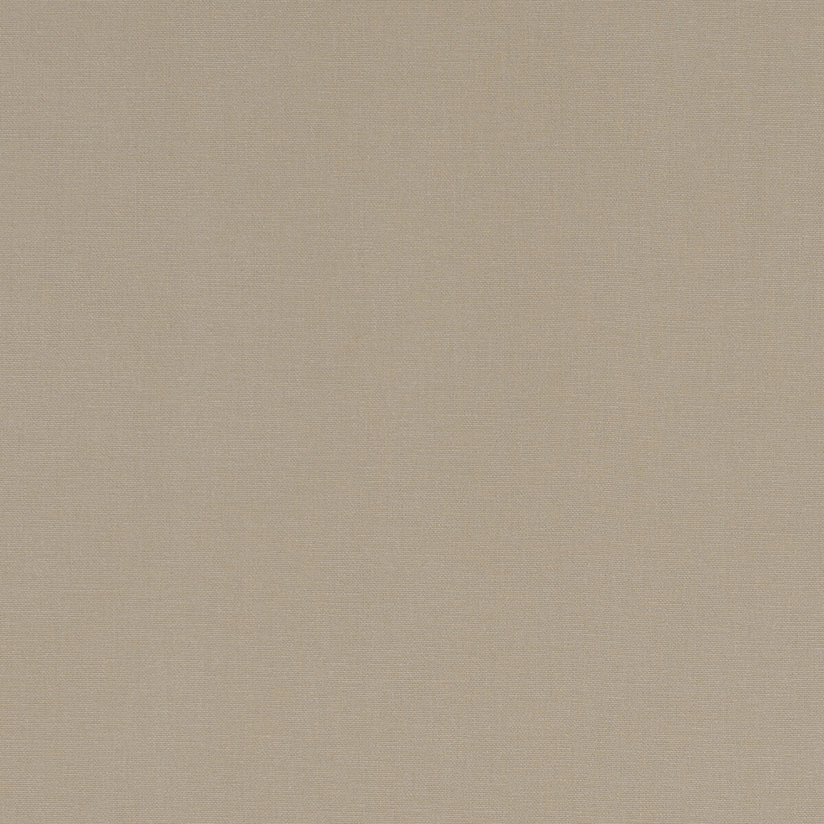 Alora fabric in sand color - pattern F1097/55.CAC.0 - by Clarke And Clarke in the Alora By Studio G For C&C collection
