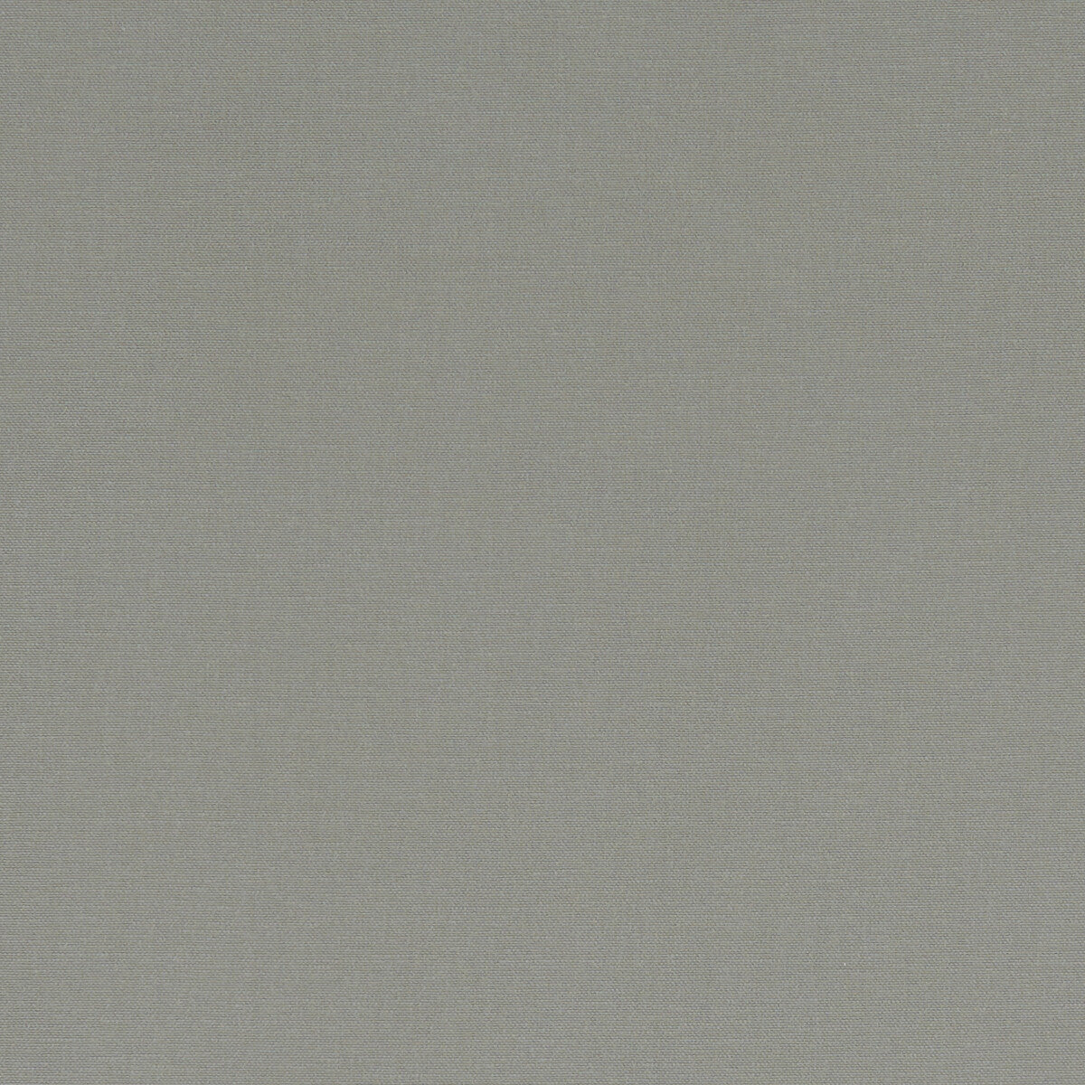 Alora fabric in smoke color - pattern F1097/58.CAC.0 - by Clarke And Clarke in the Alora By Studio G For C&C collection