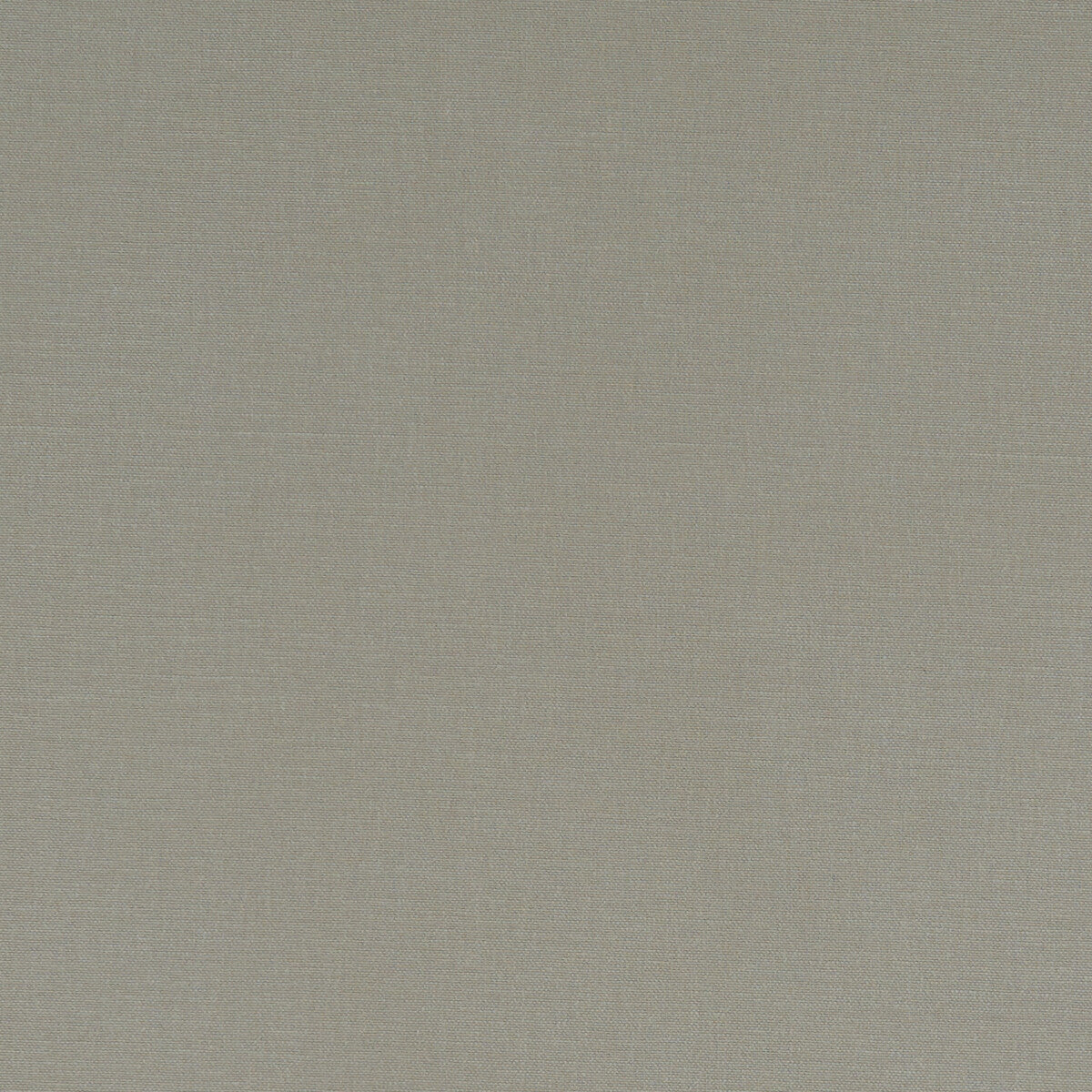 Alora fabric in taupe color - pattern F1097/66.CAC.0 - by Clarke And Clarke in the Alora By Studio G For C&C collection