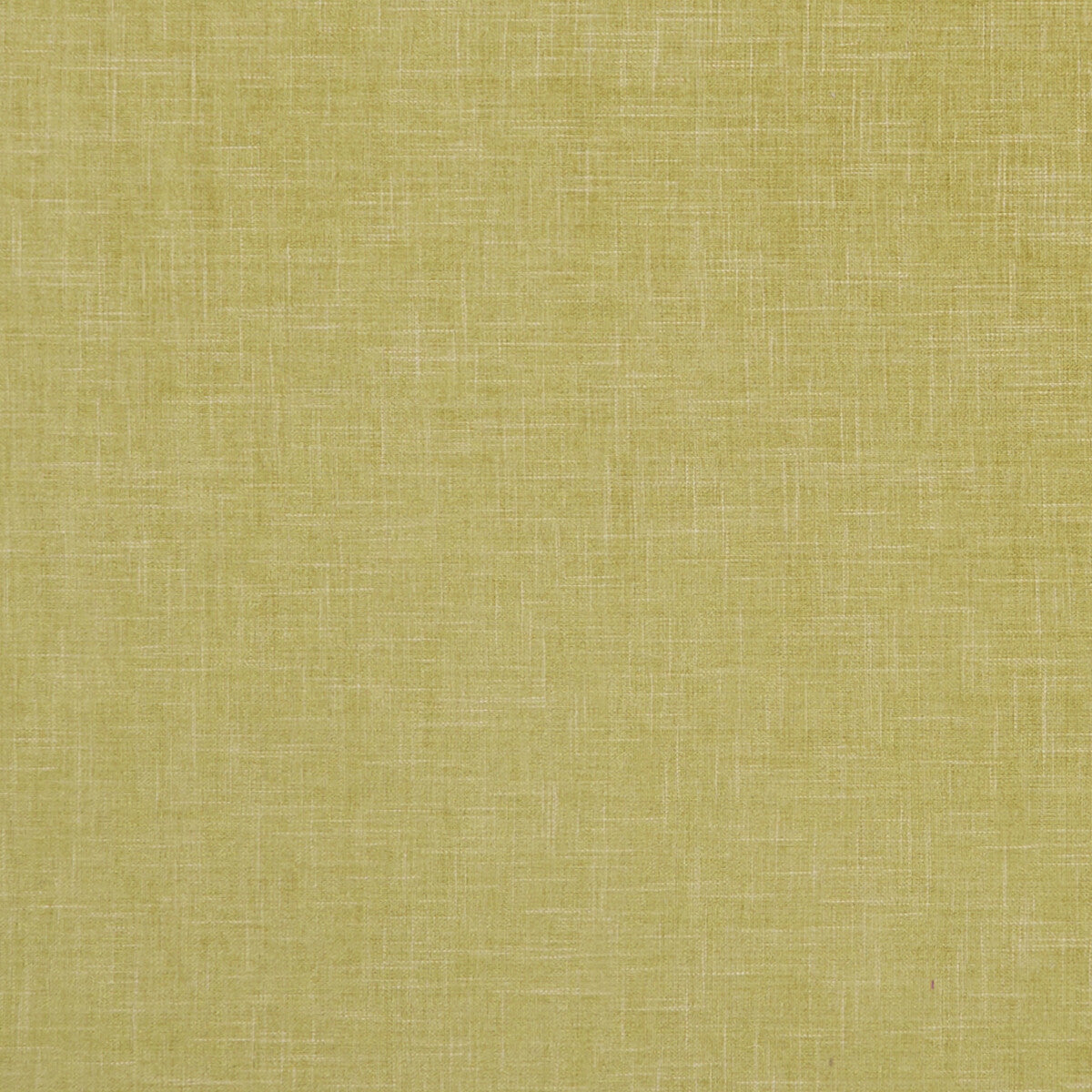 Albany fabric in citron color - pattern F1098/05.CAC.0 - by Clarke And Clarke in the Clarke & Clarke Albany & Moray collection