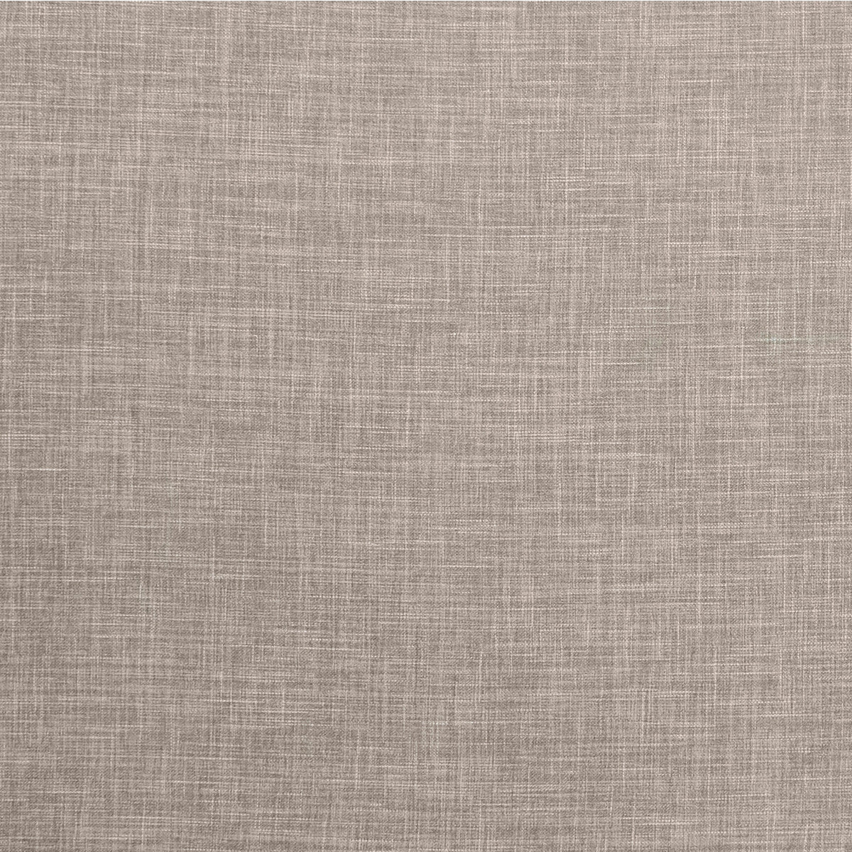 Albany fabric in latte color - pattern F1098/16.CAC.0 - by Clarke And Clarke in the Clarke & Clarke Albany & Moray collection