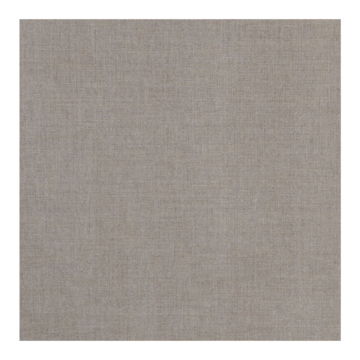 Albany fabric in mink color - pattern F1098/20.CAC.0 - by Clarke And Clarke in the Clarke & Clarke Albany & Moray collection
