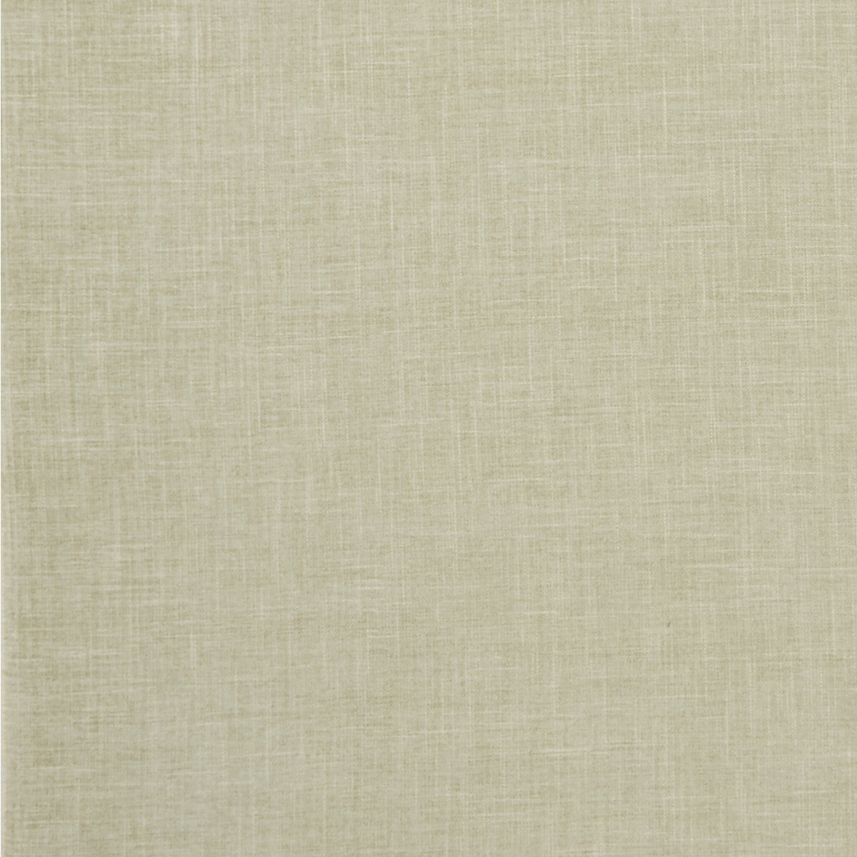 Albany fabric in sage color - pattern F1098/27.CAC.0 - by Clarke And Clarke in the Clarke & Clarke Albany & Moray collection