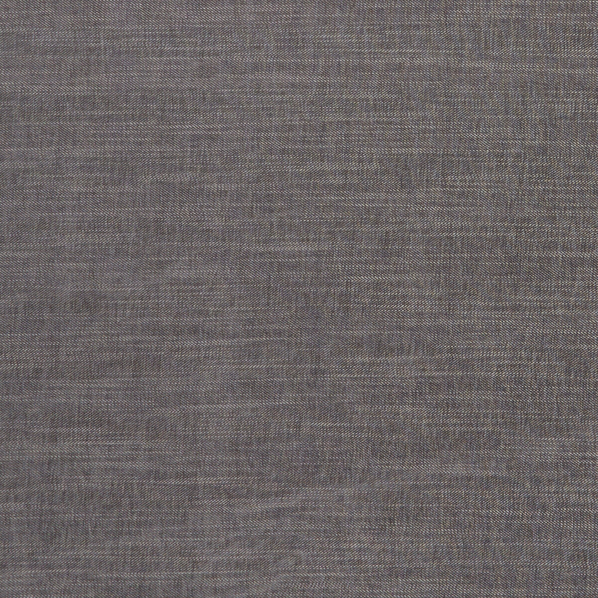 Moray fabric in charcoal color - pattern F1099/03.CAC.0 - by Clarke And Clarke in the Clarke & Clarke Albany & Moray collection
