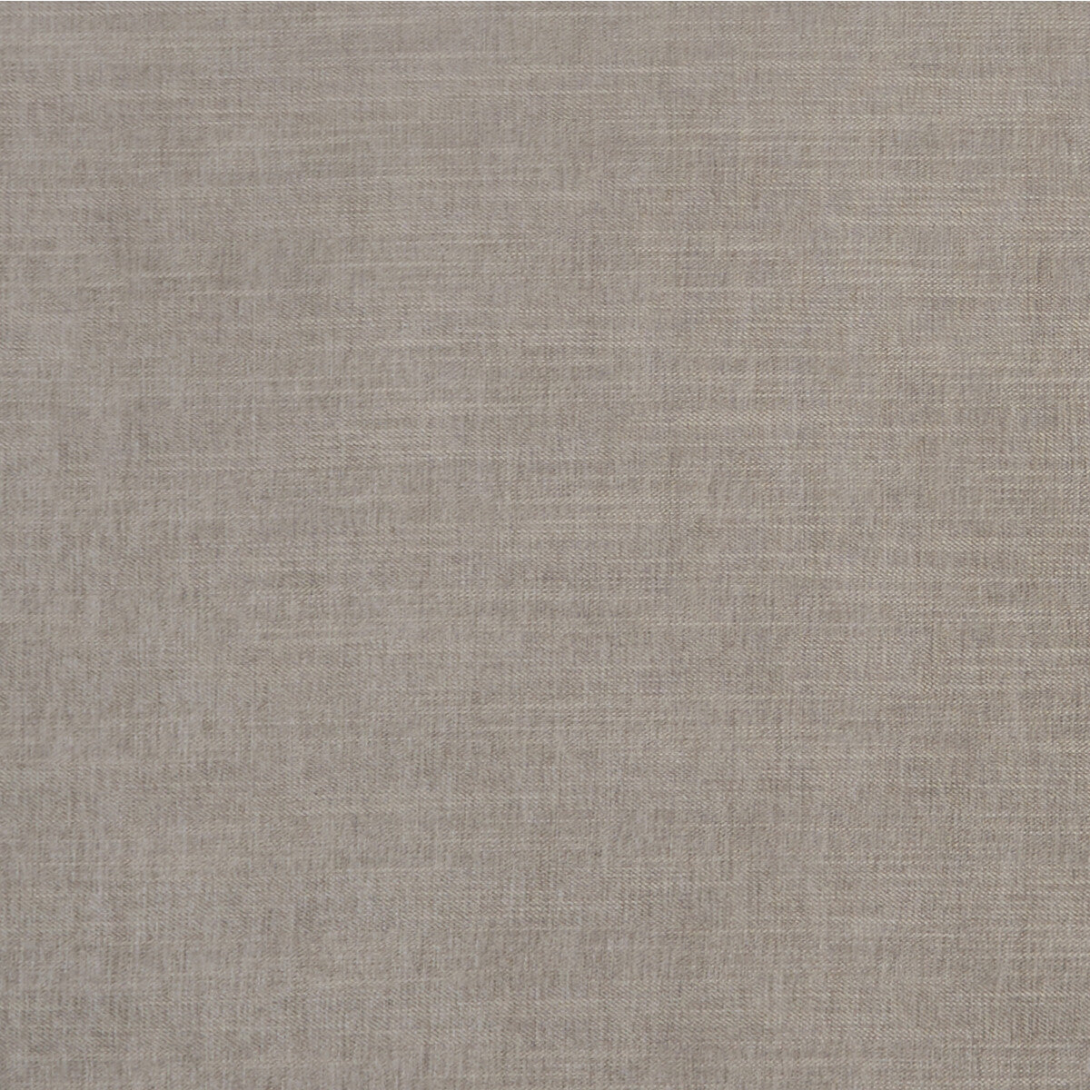 Moray fabric in mink color - pattern F1099/20.CAC.0 - by Clarke And Clarke in the Clarke & Clarke Albany & Moray collection