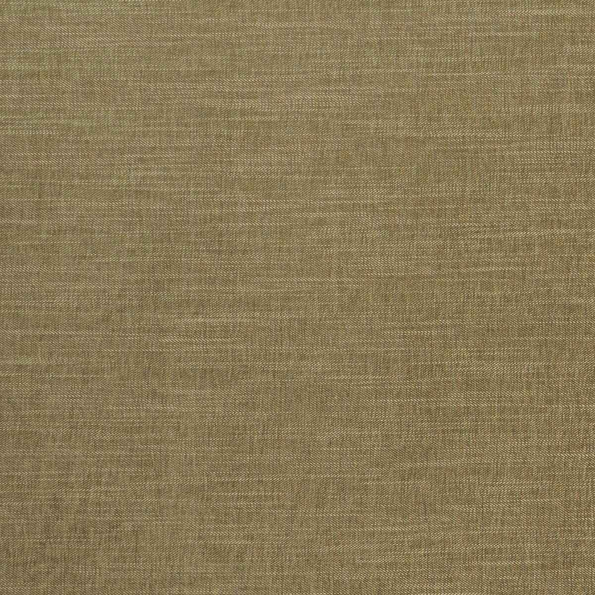 Moray fabric in moss color - pattern F1099/22.CAC.0 - by Clarke And Clarke in the Clarke & Clarke Albany & Moray collection