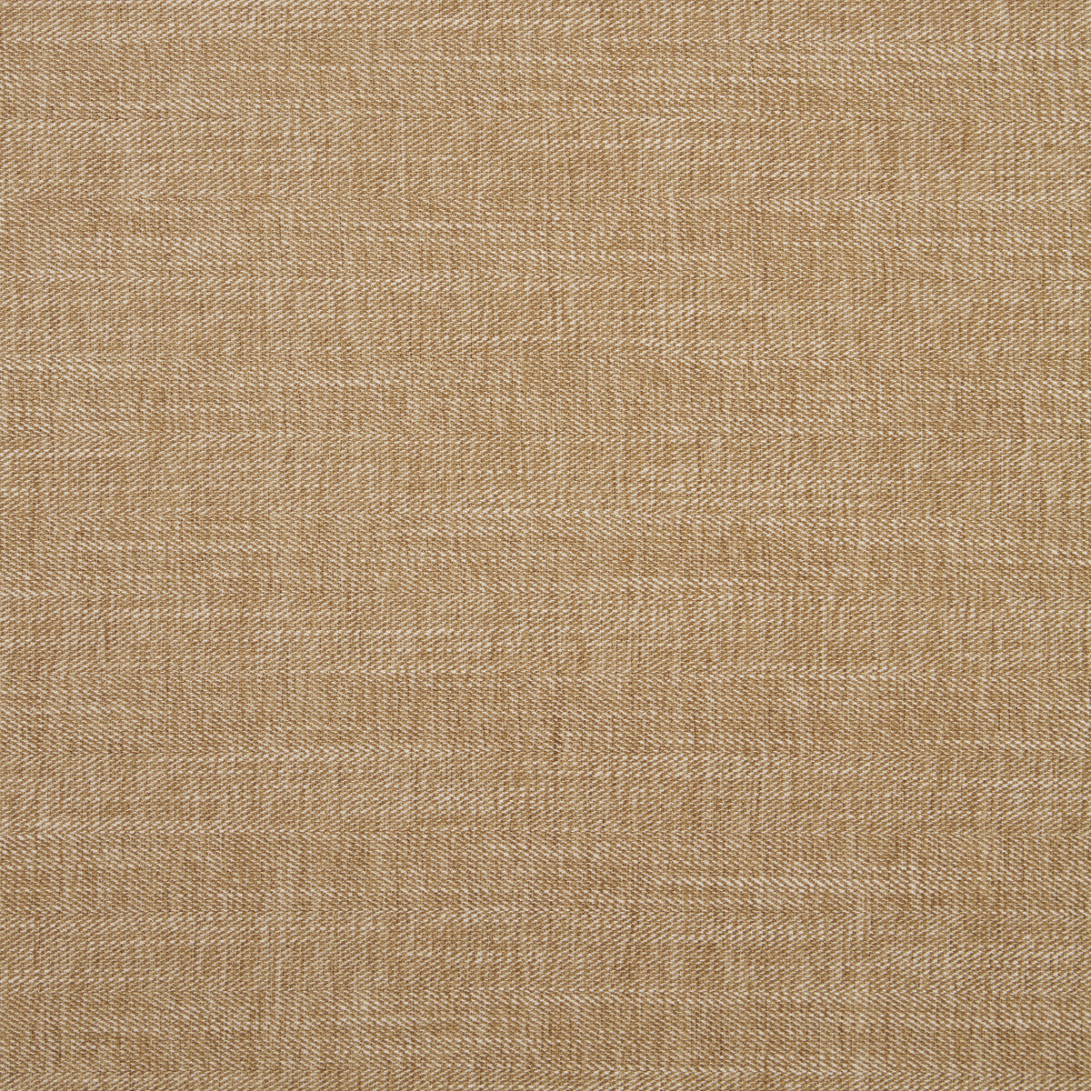 Moray fabric in pecan color - pattern F1099/25.CAC.0 - by Clarke And Clarke in the Clarke & Clarke Albany & Moray collection