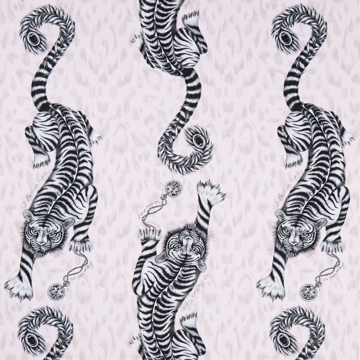 Tigris fabric in pink color - pattern F1114/03.CAC.0 - by Clarke And Clarke in the Animalia By Emma J Shipley For C&C collection