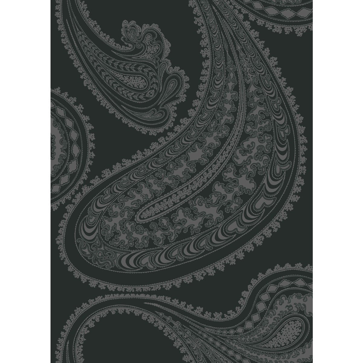 Rajapur fabric in char blk color - pattern F111/10037.CS.0 - by Cole & Son in the Cole & Son Contemporary Fabrics collection