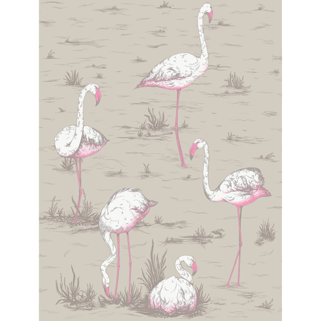 Flamingos fabric in wht/fuch on tup color - pattern F111/3011L.CS.0 - by Cole &amp; Son in the Cole &amp; Son Contemporary Fabrics collection