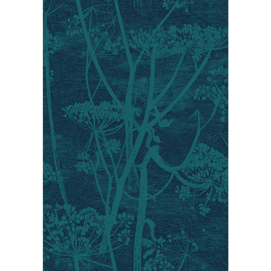 Cow Parsley fabric in petrol &amp; ink color - pattern F111/5015.CS.0 - by Cole &amp; Son in the Cole &amp; Son Contemporary Fabrics collection