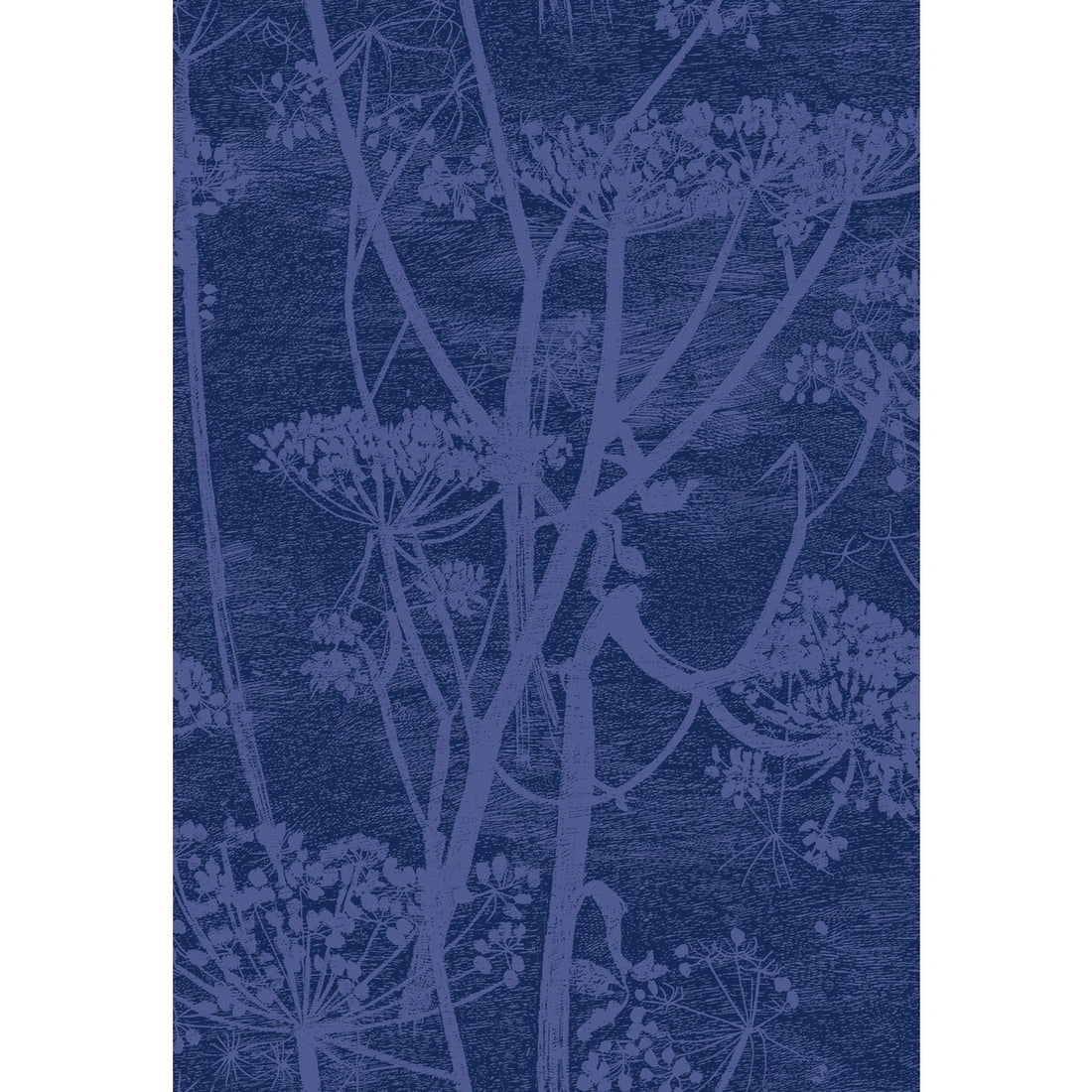 Cow Parsley fabric in hyacinth &amp; ink color - pattern F111/5016.CS.0 - by Cole &amp; Son in the Cole &amp; Son Contemporary Fabrics collection