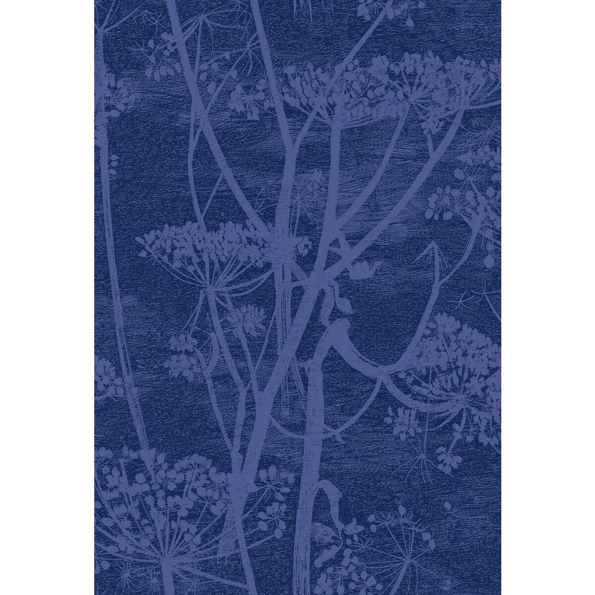 Cow Parsley fabric in hyacinth & ink color - pattern F111/5016.CS.0 - by Cole & Son in the Cole & Son Contemporary Fabrics collection