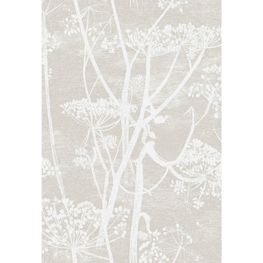 Cow Parsley fabric in wht taupe color - pattern F111/5019.CS.0 - by Cole &amp; Son in the Cole &amp; Son Contemporary Fabrics collection
