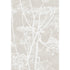 Cow Parsley fabric in wht taupe color - pattern F111/5019.CS.0 - by Cole & Son in the Cole & Son Contemporary Fabrics collection