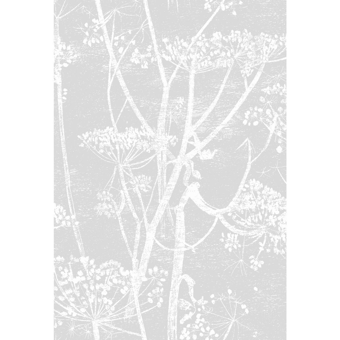 Cow Parsley fabric in soft grey color - pattern F111/5021.CS.0 - by Cole &amp; Son in the Cole &amp; Son Contemporary Fabrics collection