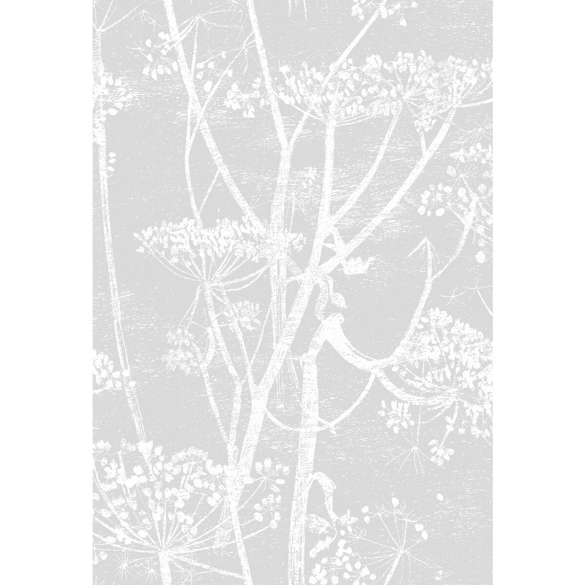 Cow Parsley fabric in soft grey color - pattern F111/5021.CS.0 - by Cole & Son in the Cole & Son Contemporary Fabrics collection