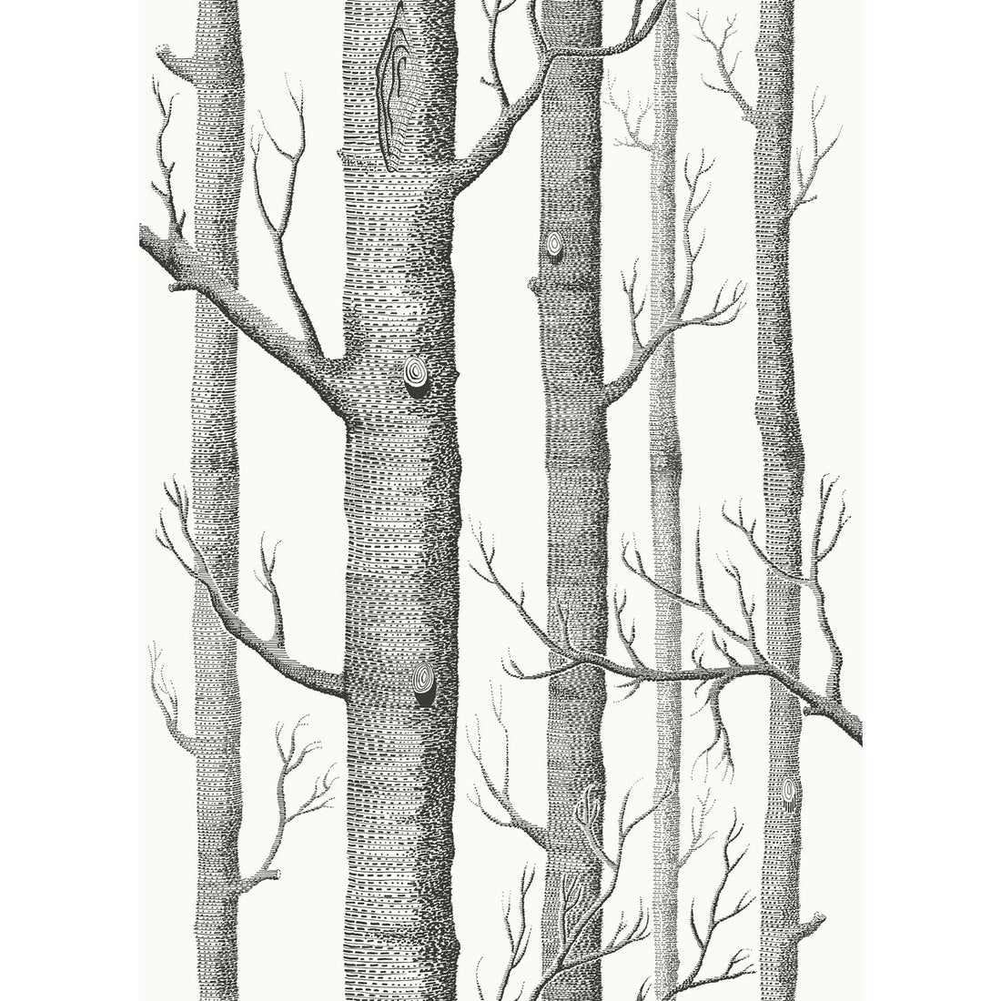 Woods fabric in blk wht color - pattern F111/7026L.CS.0 - by Cole &amp; Son in the Cole &amp; Son Contemporary Fabrics collection