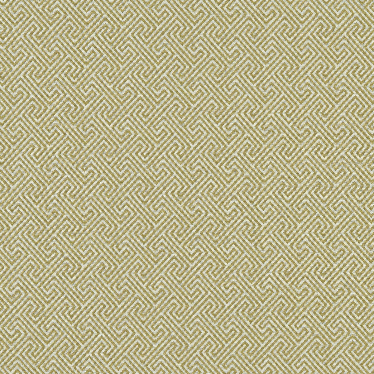Mercury fabric in citron color - pattern F1131/01.CAC.0 - by Clarke And Clarke in the Clarke & Clarke Equinox collection