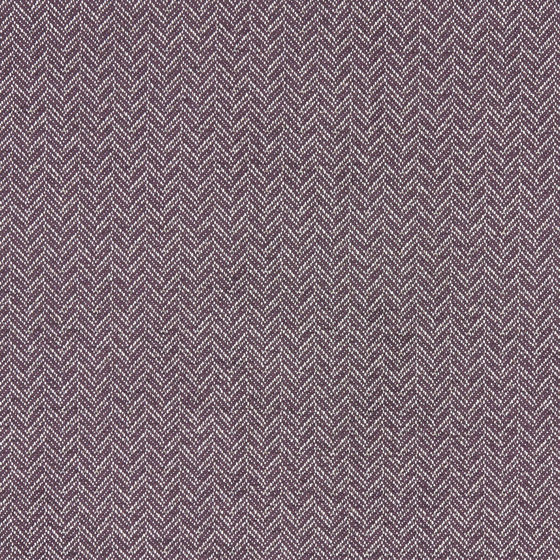 Trinity fabric in damson color - pattern F1137/02.CAC.0 - by Clarke And Clarke in the Clarke &amp; Clarke Equinox collection