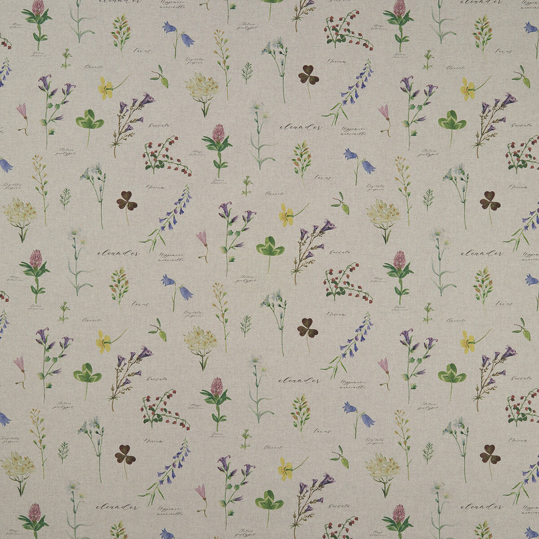 Nerium fabric in linen color - pattern F1167/01.CAC.0 - by Clarke And Clarke in the Clarke &amp; Clarke Country Garden collection