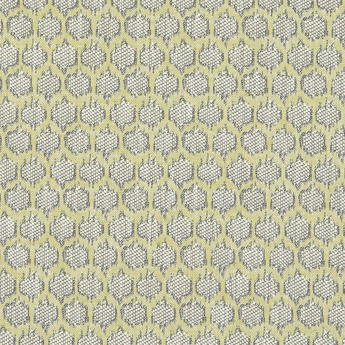 Dorset fabric in citron color - pattern F1178/03.CAC.0 - by Clarke And Clarke in the Clarke &amp; Clarke Heritage collection
