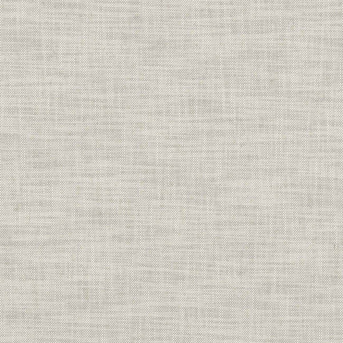 Milton fabric in dove color - pattern F1180/04.CAC.0 - by Clarke And Clarke in the Clarke & Clarke Heritage collection