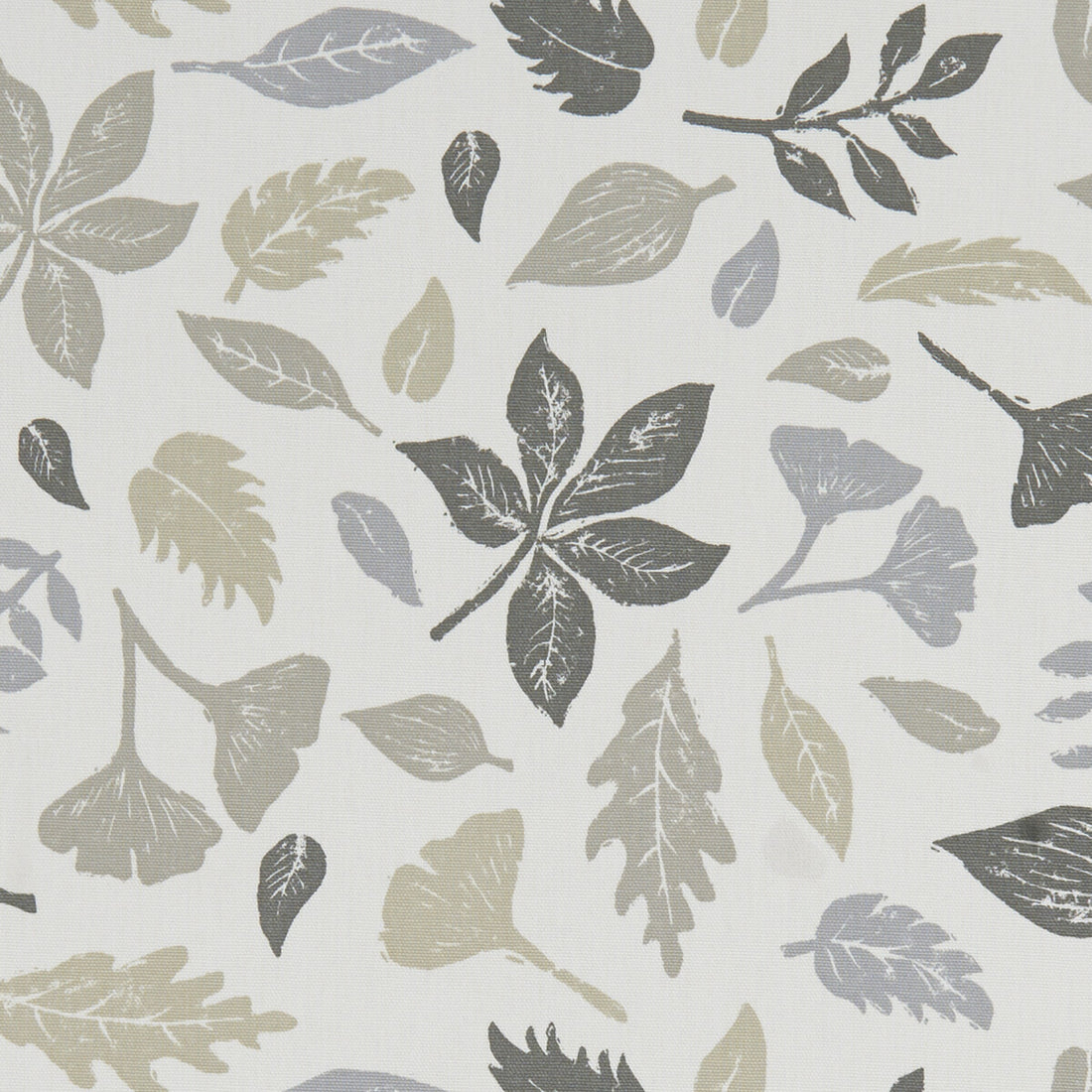Hawthorn fabric in natural color - pattern F1188/03.CAC.0 - by Clarke And Clarke in the Land &amp; Sea By Studio G For C&amp;C collection