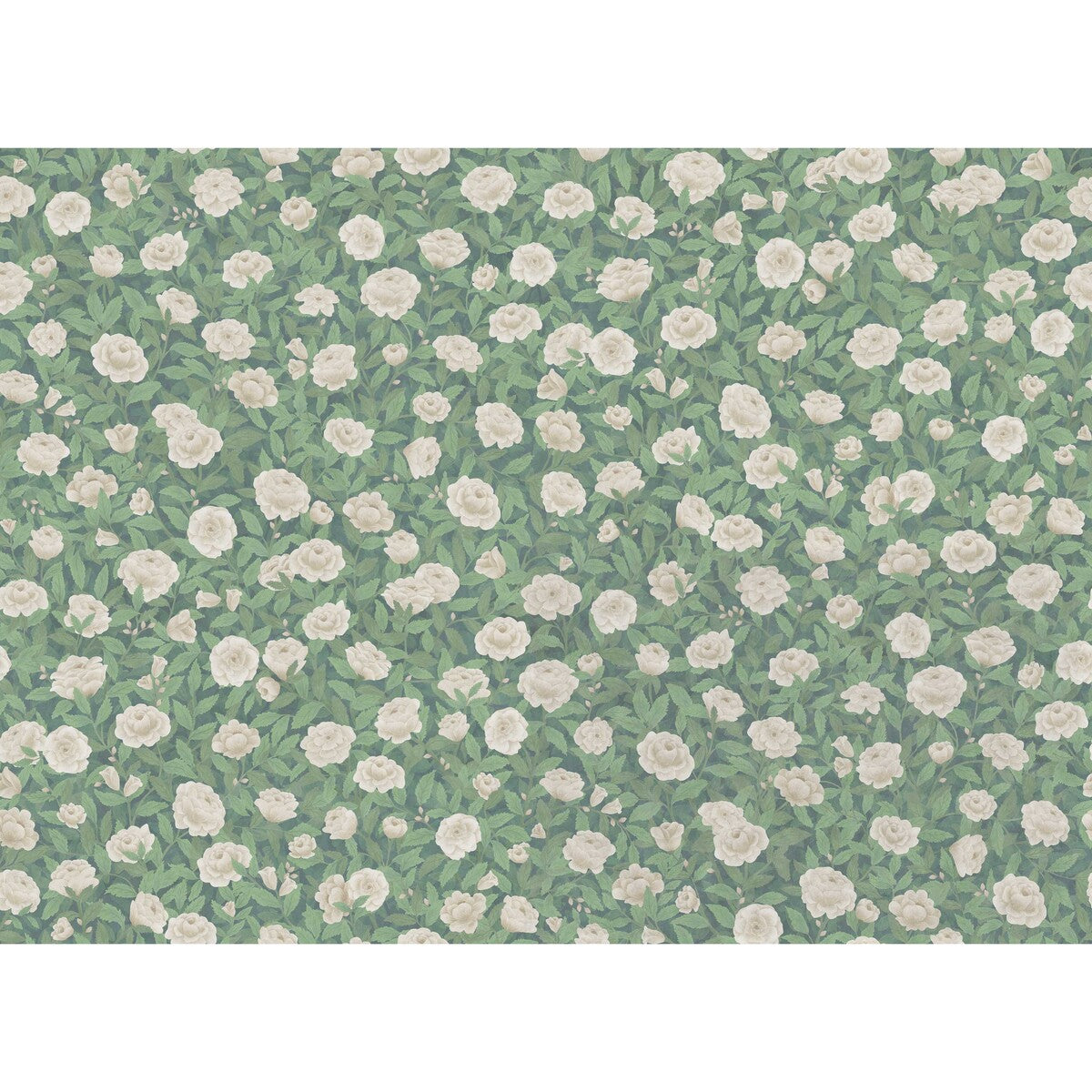 Idyll Roses Linen fabric in eaudenil color - pattern number F121/2010.CS.0 - by Cole & Son in the Cole & Son The Gardens Vol. II collection