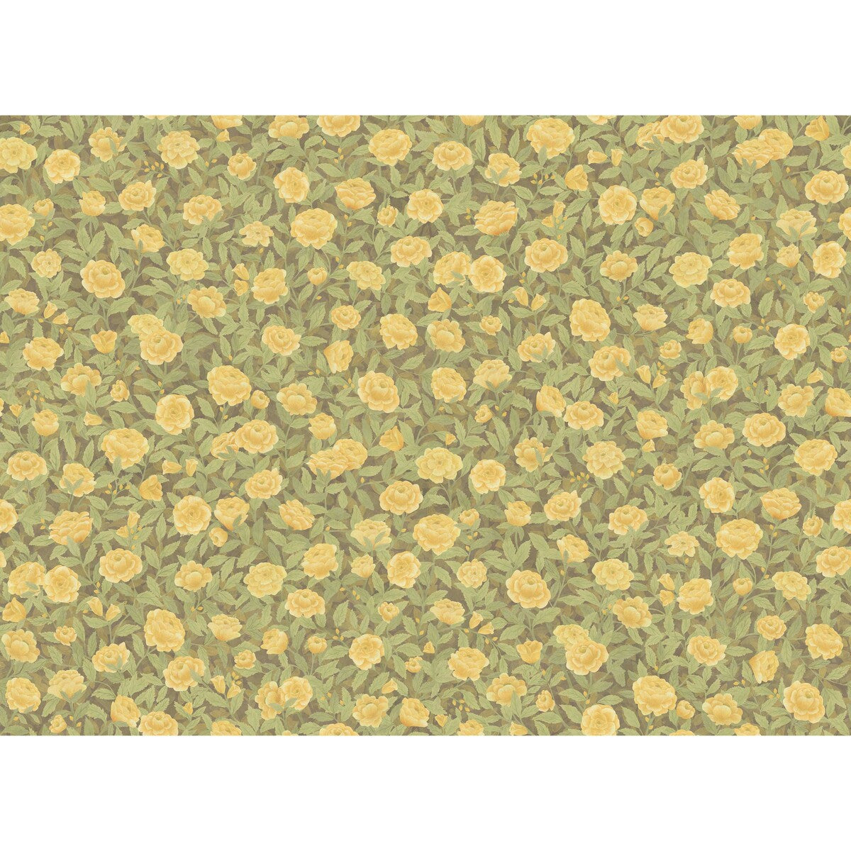 Idyll Roses Linen fabric in honey color - pattern number F121/2011.CS.0 - by Cole & Son in the Cole & Son The Gardens Vol. II collection