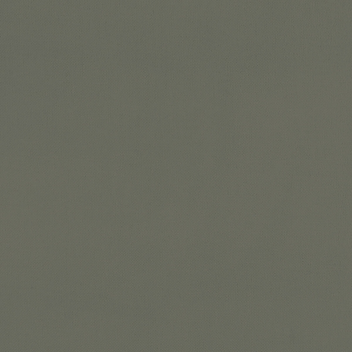Renzo fabric in charcoal color - pattern F1231/03.CAC.0 - by Clarke And Clarke in the Renzo By Studio G For C&C collection