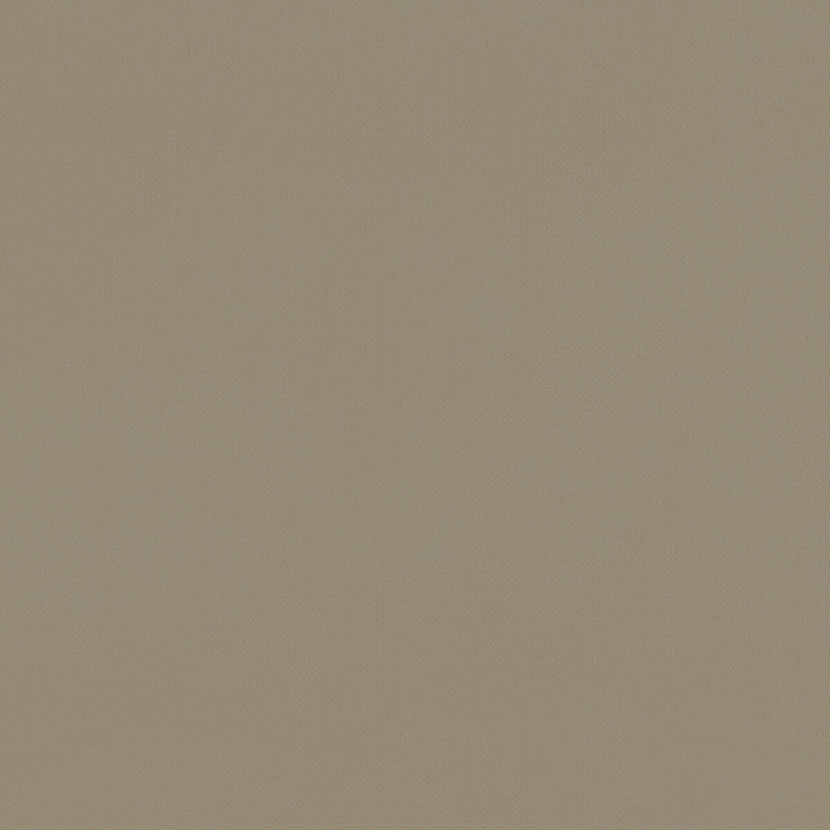 Renzo fabric in cocoa color - pattern F1231/05.CAC.0 - by Clarke And Clarke in the Renzo By Studio G For C&C collection