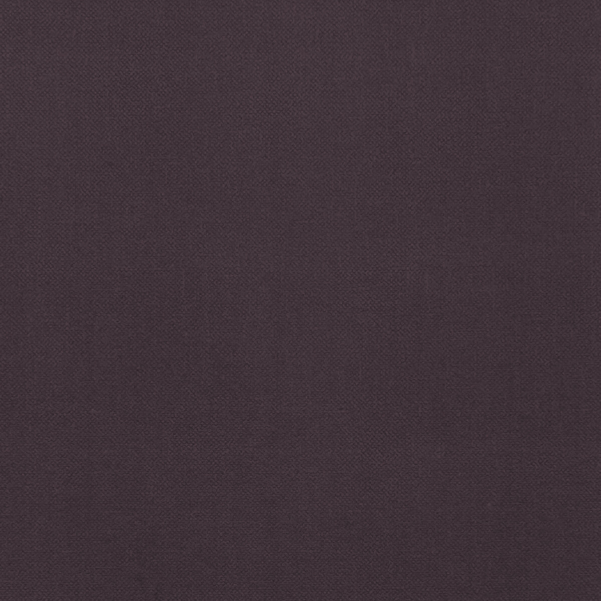 Renzo fabric in damson color - pattern F1231/07.CAC.0 - by Clarke And Clarke in the Renzo By Studio G For C&C collection