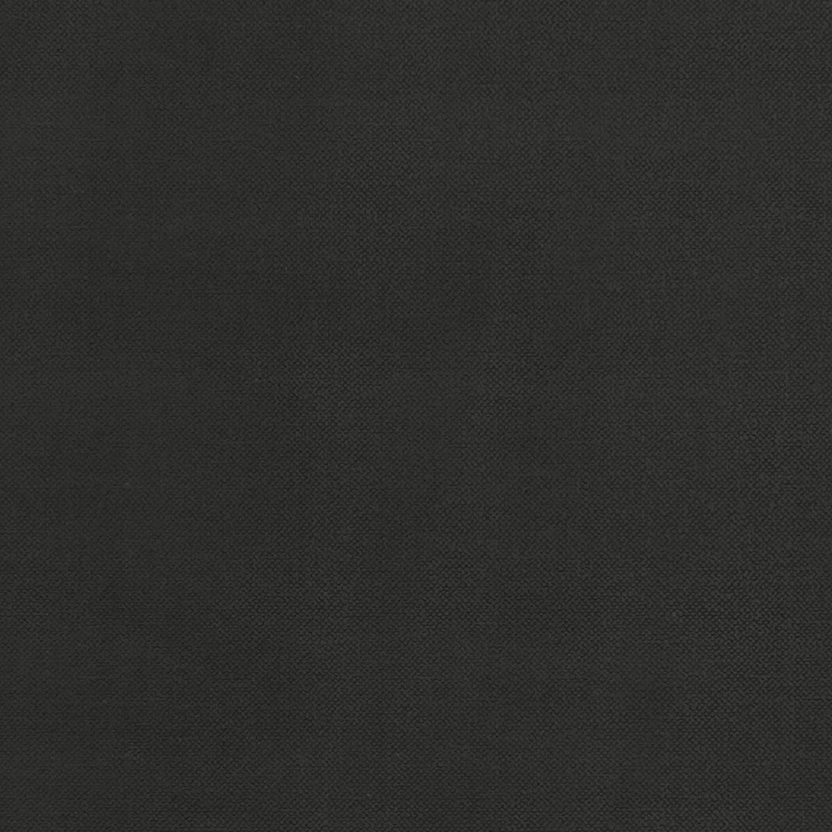 Renzo fabric in ebony color - pattern F1231/09.CAC.0 - by Clarke And Clarke in the Renzo By Studio G For C&C collection