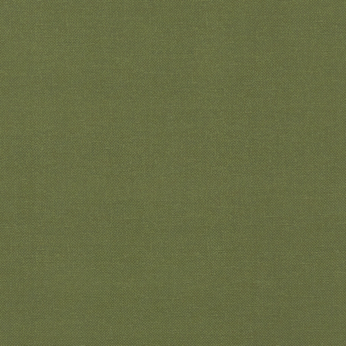 Renzo fabric in forest color - pattern F1231/11.CAC.0 - by Clarke And Clarke in the Renzo By Studio G For C&amp;C collection